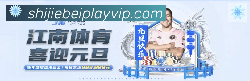 未来规划